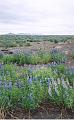 Islande200400035