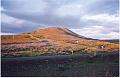 Islande200400043