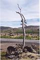 Islande200400078