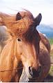 Islande200400080