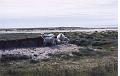 Islande200400088