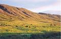 Islande200400120