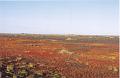 Islande200400235