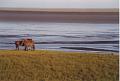 Islande200400256