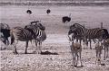 namibia20030004