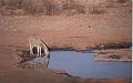 namibia20030008