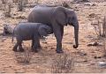 namibia20030009