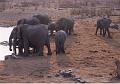 namibia20030010