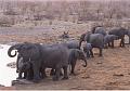 namibia20030011