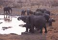 namibia20030012