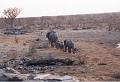 namibia20030013