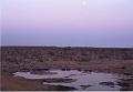 namibia20030014