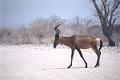 namibia20030016