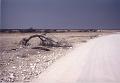 namibia20030019
