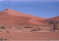 namibia20030023