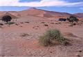 namibia20030025