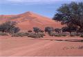 namibia20030027