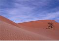 namibia20030028