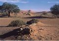 namibia20030035