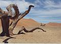 namibia20030037