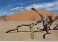namibia20030038