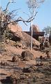 namibia20030040