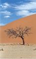 namibia20030050
