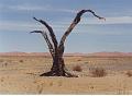 namibia20030051