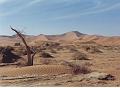 namibia20030052