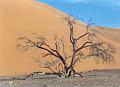 namibia20030053
