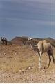 namibia20030054
