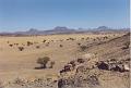 namibia20030055