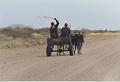 namibia20030059