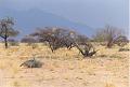 namibia20030061