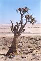 namibia20030072