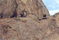 namibia20030075