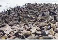 namibia20030076