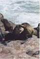 namibia20030077