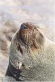 namibia20030079