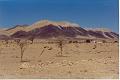 namibia20030083