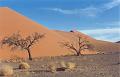 namibia20030093