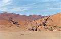 namibia20030095