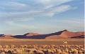 namibia20030096