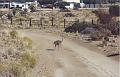 namibia20030100