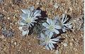 namibia20030102