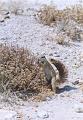 namibia20030106