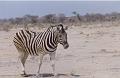 namibia20030113