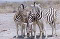 namibia20030114