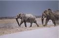 namibia20030115