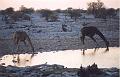 namibia20030118